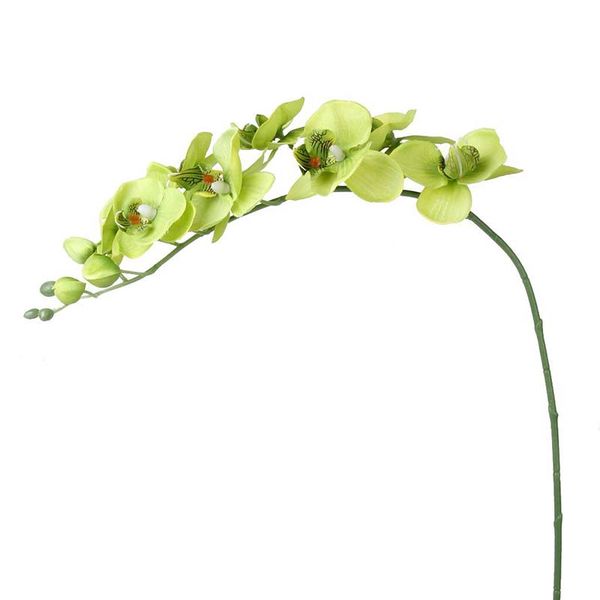 new-1 branch butterfly orchid artificial flower for home decoration wedding - green
new-1 branch butterfly orchid artificial flower for home decoration wedding - green