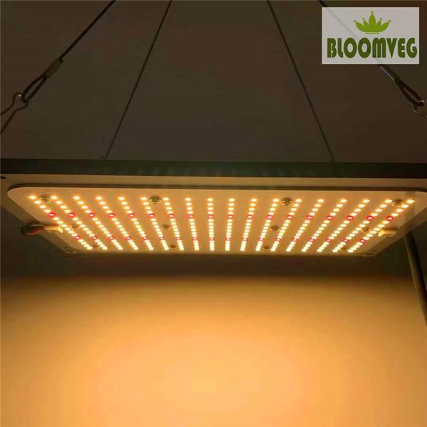 led grow lights quantum plate light 550v2 board hlg 288v2 led board samsung lm301b 660nm red led grow light for indoor plant
led grow lights quantum plate light 550v2 board hlg 288v2 led board samsung lm301b 660nm red led grow light for indoor plant