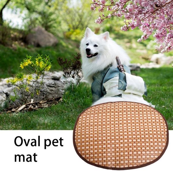 oval shape fashionable lovely cute pet dog cat summer mat house bed soft breathable pet sleeping mat pets dogs animal pad
oval shape fashionable lovely cute pet dog cat summer mat house bed soft breathable pet sleeping mat pets dogs animal pad