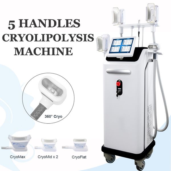 high end fat ing machine cryolipolysis rf cavitation machines lipo fat e vacuum slimming beauty equipment clinic salon use
high end fat ing machine cryolipolysis rf cavitation machines lipo fat e vacuum slimming beauty equipment clinic salon use
