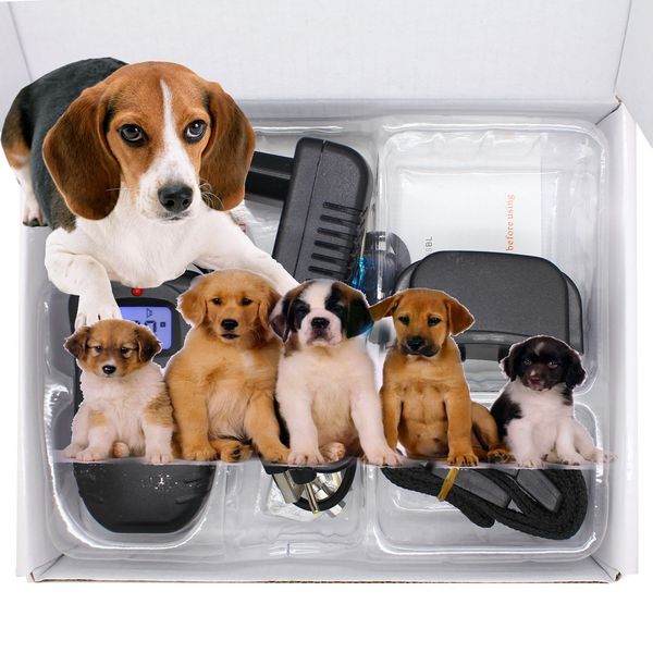 blue backlight rechargeable waterproof lcd remote control 100lv shock + vibra electric pet dog training collar
blue backlight rechargeable waterproof lcd remote control 100lv shock + vibra electric pet dog training collar
