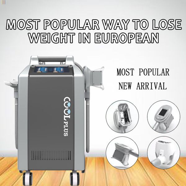 2019 new fat e cryolipolysis slimming machine etg50-4s with 4 handles with 3 handles and 1 double chin for body slimming and sculpting
2019 new fat e cryolipolysis slimming machine etg50-4s with 4 handles with 3 handles and 1 double chin for body slimming and sculpting