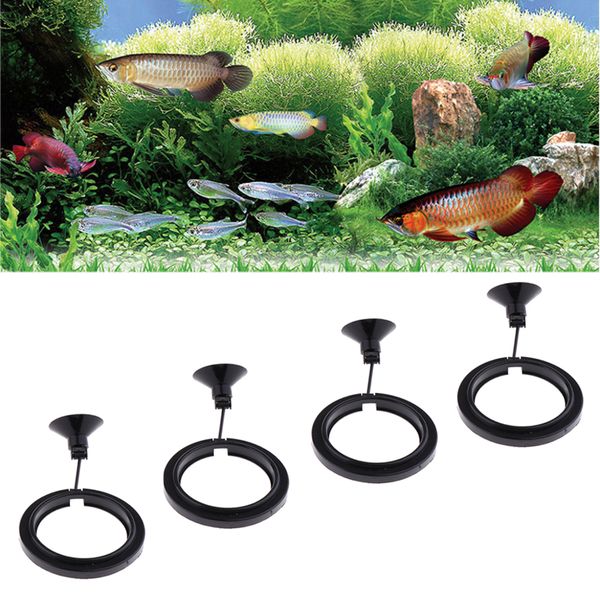 4 pcs round plastic aquarium feeding circle fish tank food tray feeder 
4 pcs round plastic aquarium feeding circle fish tank food tray feeder