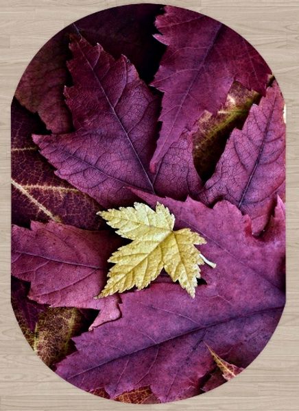 else purple sycamore leaves on yellow leaf floral 3d print non slip microfiber living room modern oval washable area rug carpet
else purple sycamore leaves on yellow leaf floral 3d print non slip microfiber living room modern oval washable area rug carpet