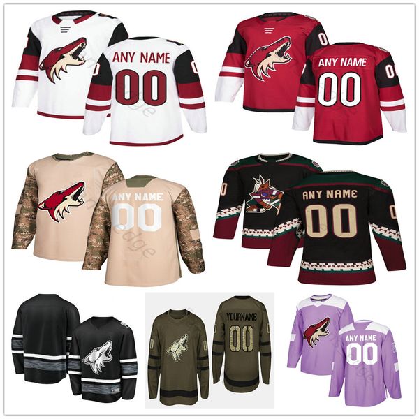 Custom Arizona Coyotes #30 Pickard 18 Christian Dvorak 36 Christian Fischer 13 Vinnie Hinostroza Men Women Kids Jerseys 
Custom Arizona Coyotes #30 Pickard 18 Christian Dvorak 36 Christian Fischer 13 Vinnie Hinostroza Men Women Kids Jerseys
