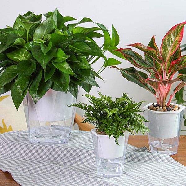 newly flower plant pot self watering planter transparent planting flower pot water storage basin
newly flower plant pot self watering planter transparent planting flower pot water storage basin