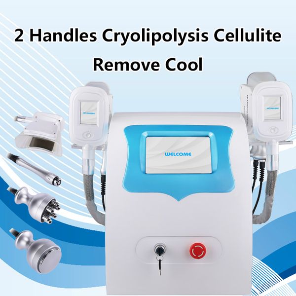 hight quality multi-fuction 2 handles cryolipolysis cellulite remove cool technology fat ing machine fat reduction for clinic use
hight quality multi-fuction 2 handles cryolipolysis cellulite remove cool technology fat ing machine fat reduction for clinic use