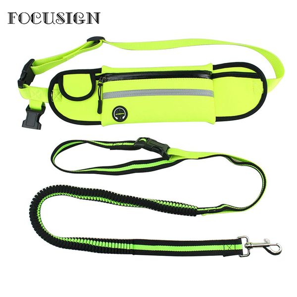 multifunction sports running pockets running cellphone waist bag jogging dog leads leash traction rope chain puppy waist pouch
multifunction sports running pockets running cellphone waist bag jogging dog leads leash traction rope chain puppy waist pouch