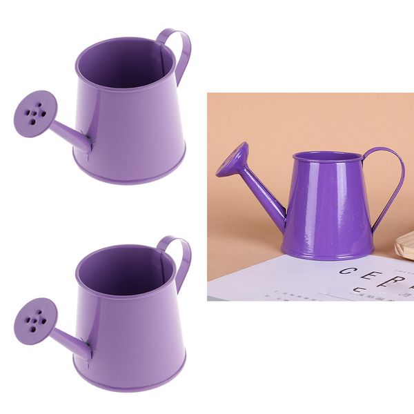 2pcs mini metal iron watering can, iron pitcher flower vase, garden flower pot plant planter home decor
2pcs mini metal iron watering can, iron pitcher flower vase, garden flower pot plant planter home decor