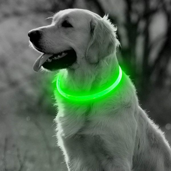 led dog collar light usb rechargeable glowing dog collars luminous pet flash night charging collars for small medium large dogsui0039
led dog collar light usb rechargeable glowing dog collars luminous pet flash night charging collars for small medium large dogsui0039