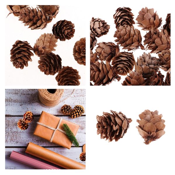 100 pieces home garden wedding party embellishments real natural mixed pine cones in bulk for accents decoration ornament
100 pieces home garden wedding party embellishments real natural mixed pine cones in bulk for accents decoration ornament