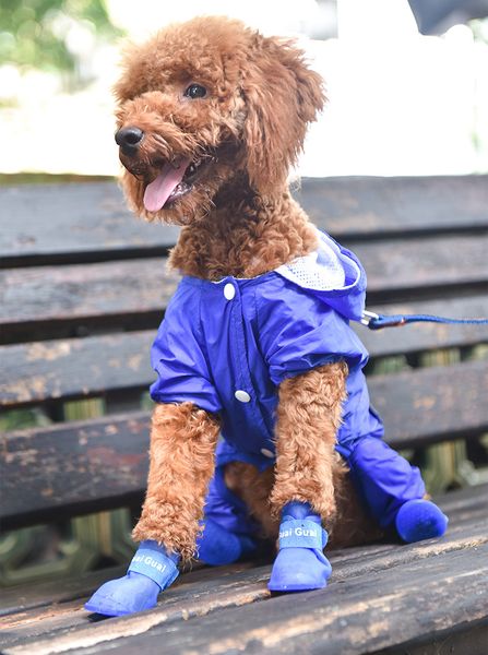 pet dog силиконовой защитные дождевая обувь красного velcro кнопка обувь dhl бесплатная доставка
pet dog силиконовой защитные дождевая обувь красного velcro кнопка обувь dhl бесплатная доставка