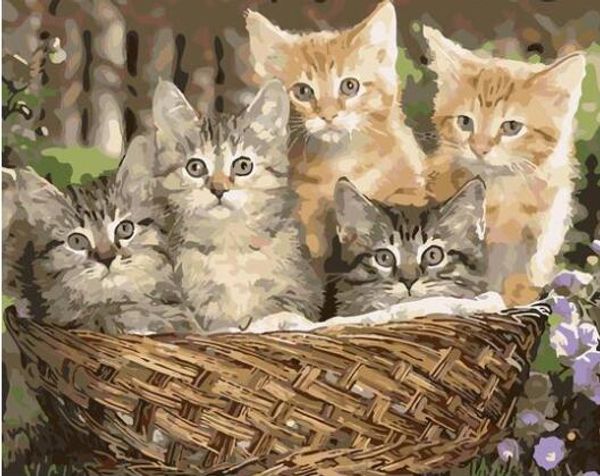 cats basket - paint by numbers kits for adults diy coloring by number canvas painting art diy picture art kits hand made paint
cats basket - paint by numbers kits for adults diy coloring by number canvas painting art diy picture art kits hand made paint