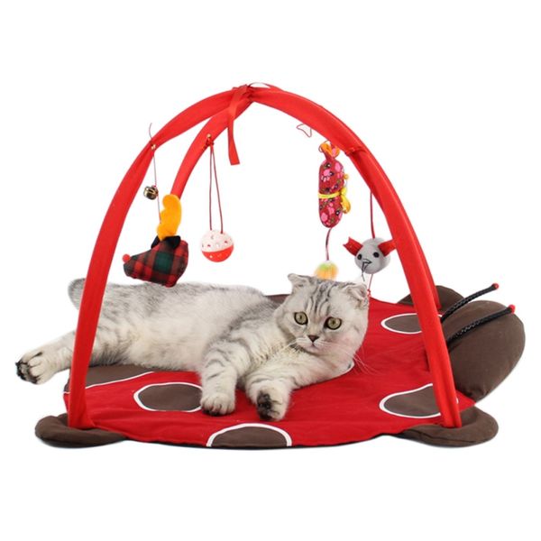 new pet cat training bed toys mobile activity playing bed toys pad blanket house cat tent exercise tent kitten pad cushion
new pet cat training bed toys mobile activity playing bed toys pad blanket house cat tent exercise tent kitten pad cushion