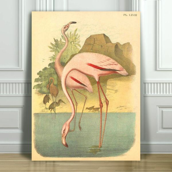 красивые старинные flamingo иллюстрация home wall art decor ручная роспись hd печать маслом на холсте wall art холст картины 190825
красивые старинные flamingo иллюстрация home wall art decor ручная роспись hd печать маслом на холсте wall art холст картины 190825