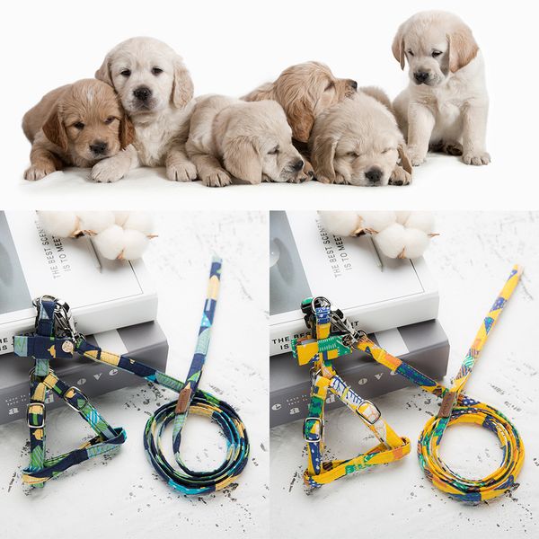 dog leash pet adjustable cat dog leash long small medium multicolour vest set cat chest straps belt set w726
dog leash pet adjustable cat dog leash long small medium multicolour vest set cat chest straps belt set w726