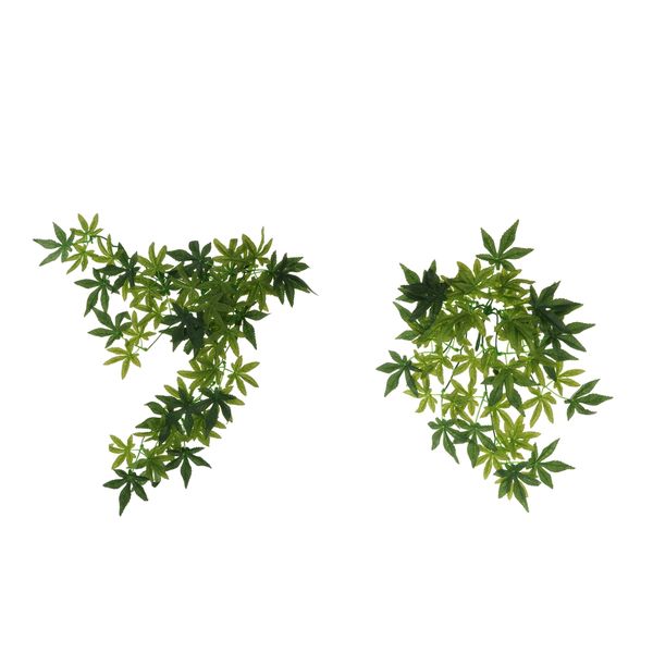 2 pcs reptile habitat decoration, artificial leaves plant by 1.6ft fish tank vivarium terrarium micro landscape-suction cups included
2 pcs reptile habitat decoration, artificial leaves plant by 1.6ft fish tank vivarium terrarium micro landscape-suction cups included