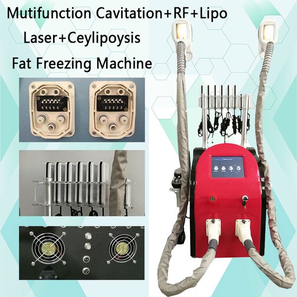 тучная машина lipo лазера lipo lipolaser уменьшая машину тучное замораживание cryolipolysis lipo cryo cryotherapy тучная замерзая польза сал
тучная машина lipo лазера lipo lipolaser уменьшая машину тучное замораживание cryolipolysis lipo cryo cryotherapy тучная замерзая польза сал