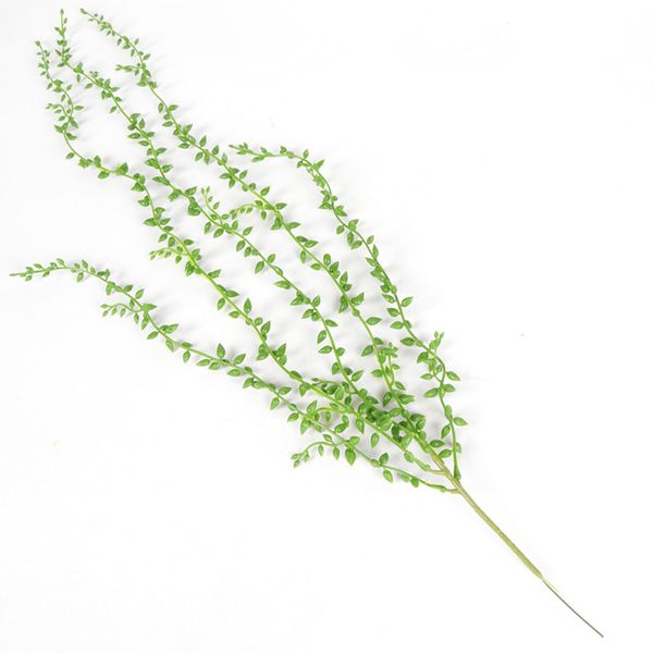82cm 5 forks plastic succulents lover tears green rattan fake leaves wall hanging artificial plants vines home garden decoration
82cm 5 forks plastic succulents lover tears green rattan fake leaves wall hanging artificial plants vines home garden decoration
