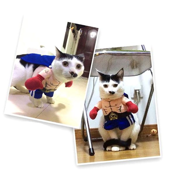 pet dogs costumes fashional breathable soft boxer puppy clothes for dogs cats halloween party cosplay decor
pet dogs costumes fashional breathable soft boxer puppy clothes for dogs cats halloween party cosplay decor