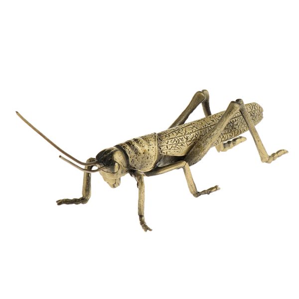 симпатичные locust форма чай pet чайника крышка декора чайной церемонии принадлежности
симпатичные locust форма чай pet чайника крышка декора чайной церемонии принадлежности