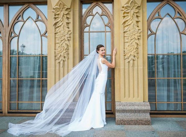 elegant white ivory champagne red black purple pink one-tier wedding veil fashional cut edge cathedral length bridal veil
elegant white ivory champagne red black purple pink one-tier wedding veil fashional cut edge cathedral length bridal veil