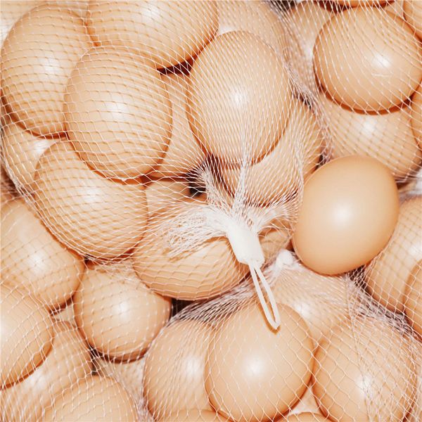 20 pcs poultry series plastic fake egg 55*43mm hens hatch nest eggs children's toys farm animal cages accessories diy painting
20 pcs poultry series plastic fake egg 55*43mm hens hatch nest eggs children's toys farm animal cages accessories diy painting