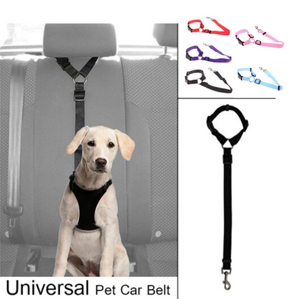 adjustable breathable dog leads chest straps solid dog pet supplies vest harness all seasons traction belt
adjustable breathable dog leads chest straps solid dog pet supplies vest harness all seasons traction belt