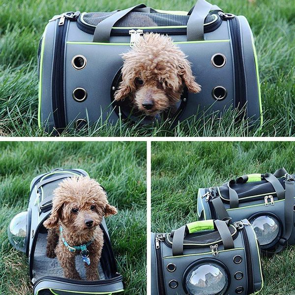 dog out bag strap cat carrier travel pet carrying case bag space portable handbag breathable
dog out bag strap cat carrier travel pet carrying case bag space portable handbag breathable