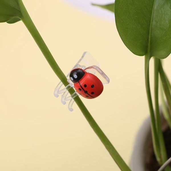 30 pcs orchid clips, ladybug plant clips, garden support clips durable plant flower stem clips,garden tomato trellis clips other garden supp
30 pcs orchid clips, ladybug plant clips, garden support clips durable plant flower stem clips,garden tomato trellis clips other garden supp