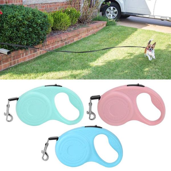 automatic retractable dog leash belt puppy pet flexible walking traction rope dog cat extending running leads pet training leash
automatic retractable dog leash belt puppy pet flexible walking traction rope dog cat extending running leads pet training leash