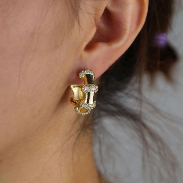 trendy bamboo joint hoop earrings clear micro cz zircon paved bone style women female gold hip hop classic statement ear jewelry, Golden;silver
trendy bamboo joint hoop earrings clear micro cz zircon paved bone style women female gold hip hop classic statement ear jewelry, Golden;silver