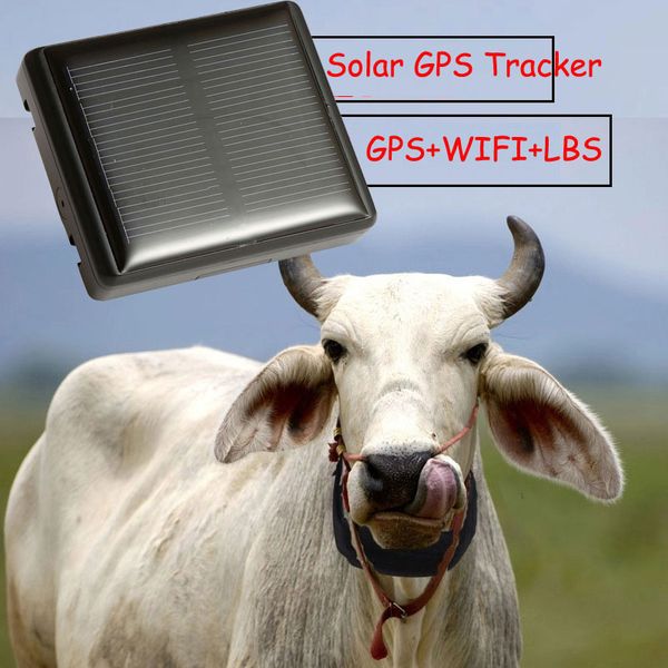 waterproof animal gps tracker solar never power off for cow sheep pet with collar remove alarm real time location lbs tracking
waterproof animal gps tracker solar never power off for cow sheep pet with collar remove alarm real time location lbs tracking