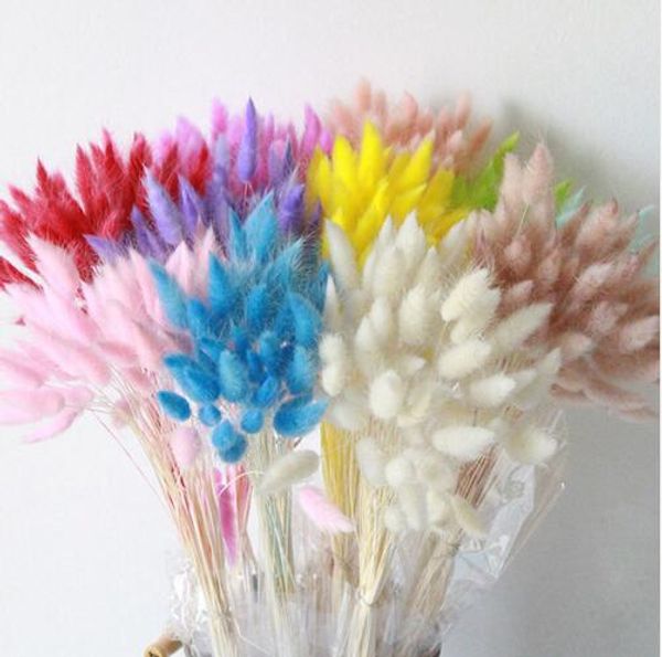 natural dried flowers colorful lagurus ovatus real flower bouquet for home wedding decoration rabbit tail grass bunch gb157
natural dried flowers colorful lagurus ovatus real flower bouquet for home wedding decoration rabbit tail grass bunch gb157