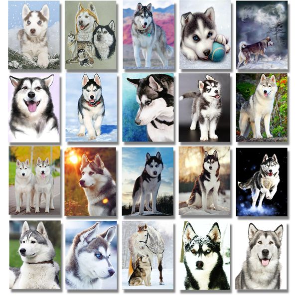 3d вышивка крестом мозаика симпатичные хаски полный круглый алмаз вышивка алмаз живопись полный дисплей 5d горный хрусталь home decor
3d вышивка крестом мозаика симпатичные хаски полный круглый алмаз вышивка алмаз живопись полный дисплей 5d горный хрусталь home decor