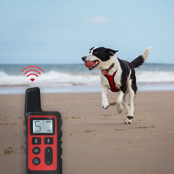 pet кинологического воротник поражение электрического ток звук anti-bark remote непромокаемая аккумуляторная lcd для маленьких больших собак
pet кинологического воротник поражение электрического ток звук anti-bark remote непромокаемая аккумуляторная lcd для маленьких больших собак