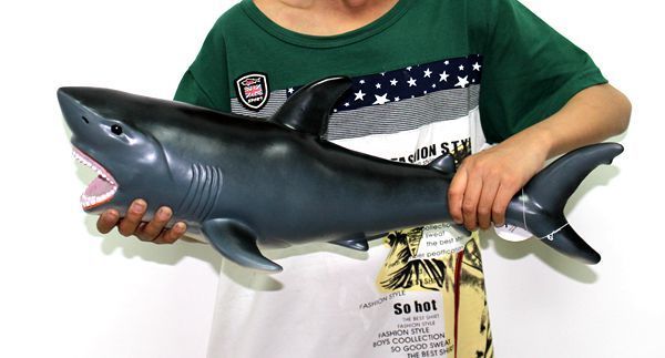 large size animal mold toy animal shark crocodile sea turtle marine model action figure early education toy gift for kids t200321
large size animal mold toy animal shark crocodile sea turtle marine model action figure early education toy gift for kids t200321