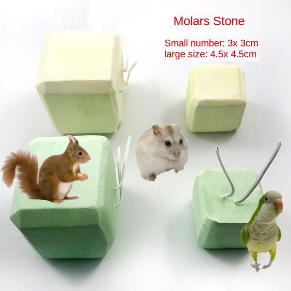 cube block pets hamster a molar tooth stone totoro squirrel rabbit parrot increase calcium a molar tooth stone
cube block pets hamster a molar tooth stone totoro squirrel rabbit parrot increase calcium a molar tooth stone