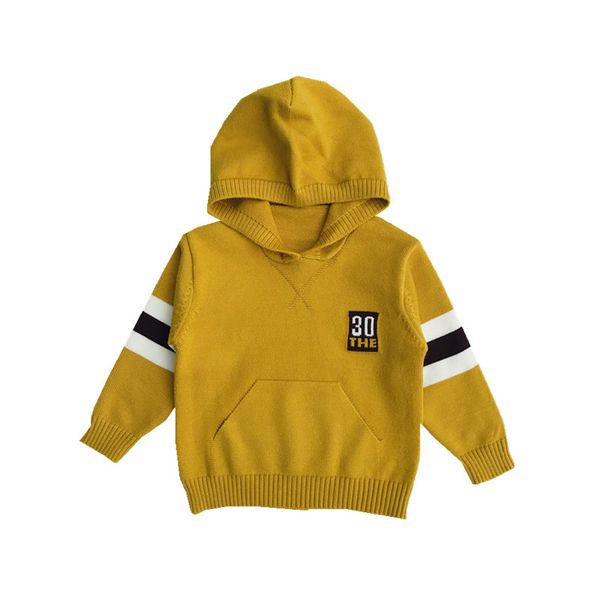 children sweaters boys autumn new style hooded 3 4 5 6 7 years old kids wear fashion leisurely boy clothes, Blue
children sweaters boys autumn new style hooded 3 4 5 6 7 years old kids wear fashion leisurely boy clothes, Blue