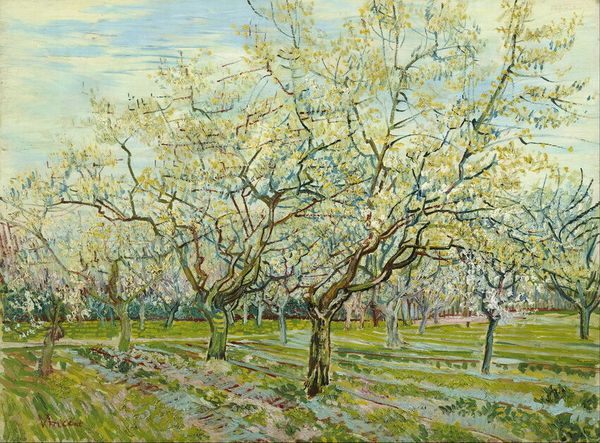 vincent van gogh the white orchard wall art home decor handpainted &hd print oil painting on canvas wall art canvas pictures 190917
vincent van gogh the white orchard wall art home decor handpainted &hd print oil painting on canvas wall art canvas pictures 190917