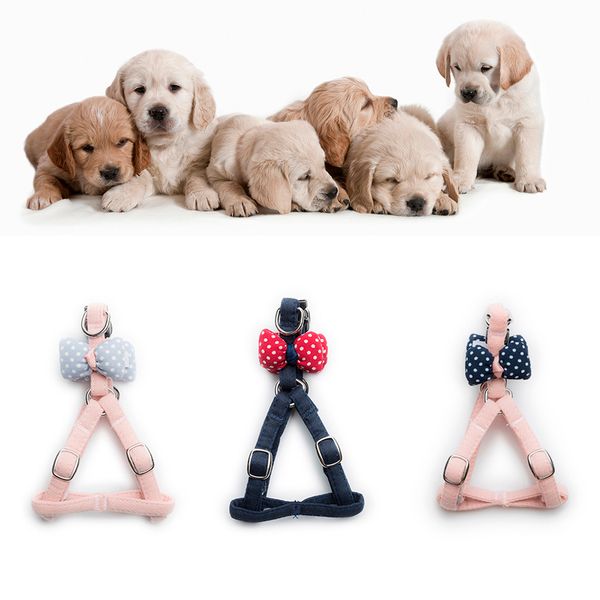 dog leash pet adjustable cat dog leash long medium and large pet breathable traction chest dot pillow bow tie strap set w725
dog leash pet adjustable cat dog leash long medium and large pet breathable traction chest dot pillow bow tie strap set w725