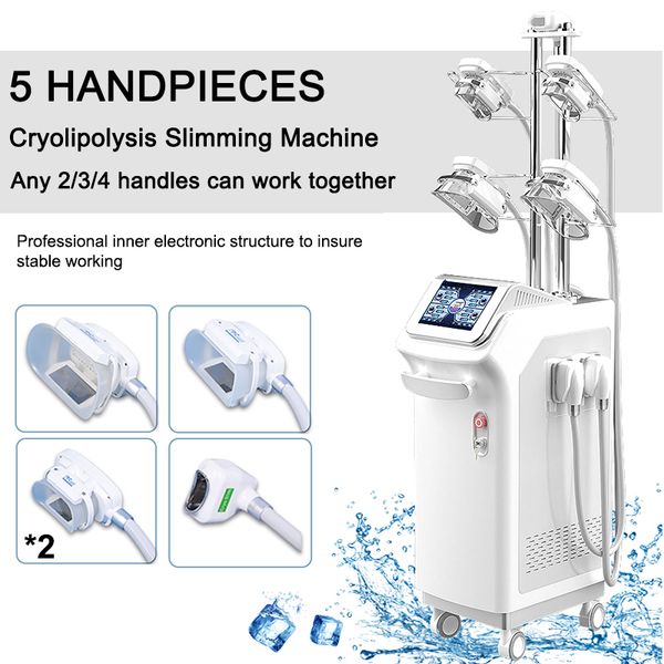 5 handles fat e machine liposuction cryolipolyse fat ing weight loss cryolipolysis fat ing beauty equipment
5 handles fat e machine liposuction cryolipolyse fat ing weight loss cryolipolysis fat ing beauty equipment
