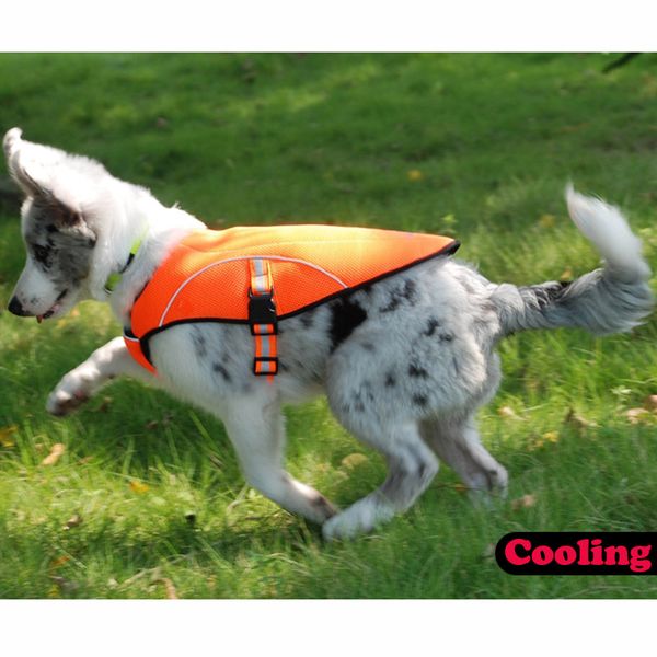safe reflective cooling pet dog vests for small medium large dogs clothes clothing hunting outdoor sport dog product
safe reflective cooling pet dog vests for small medium large dogs clothes clothing hunting outdoor sport dog product
