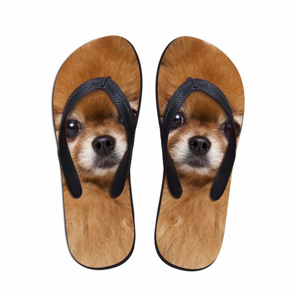 customized 3d pomeranians pattern women fashion flip flops cute animal cat dog summer slippers for woman flats female shoes, Black
customized 3d pomeranians pattern women fashion flip flops cute animal cat dog summer slippers for woman flats female shoes, Black