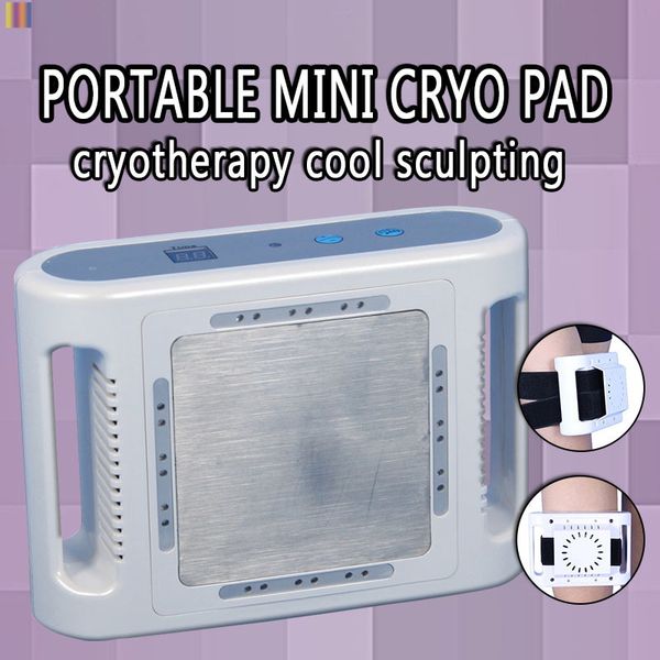 most popular mini cool sculpting small fat ing machine lipo e weight loss for personal home use ce/dhl