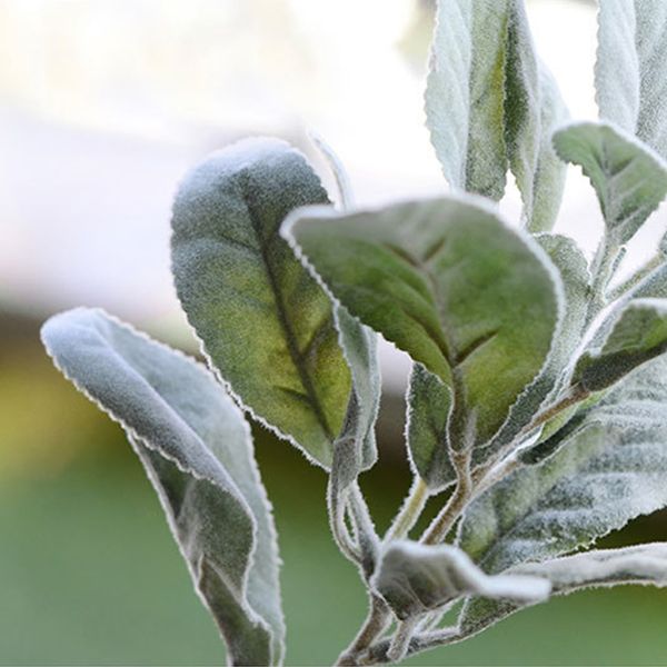 plant ear leaves table wedding party simulation silk flocking european style artificial flower faux home decor
plant ear leaves table wedding party simulation silk flocking european style artificial flower faux home decor