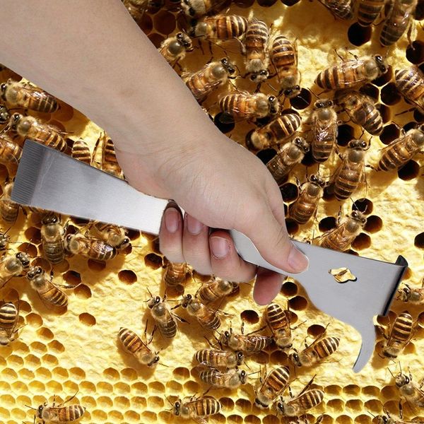 stainless steel bee hive claw thumb shape scraper beekeeping tool pry beekeeper other pet supplies
stainless steel bee hive claw thumb shape scraper beekeeping tool pry beekeeper other pet supplies