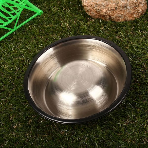bowls cat feed pet feeding bowl container pet supply stainless steel water plates food tool home decor drinking feeder dog grooming
bowls cat feed pet feeding bowl container pet supply stainless steel water plates food tool home decor drinking feeder dog grooming