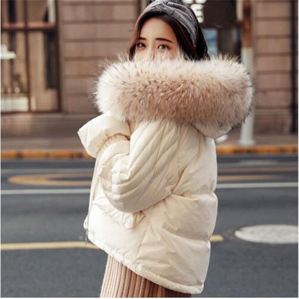 thickened women down coat women down winter jacket long hooded warm coat fur collar winter brand clothing, Black
thickened women down coat women down winter jacket long hooded warm coat fur collar winter brand clothing, Black