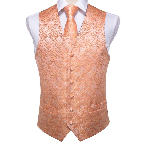 dibangu мужская оранжевая жилетка pocket square галстук-запонки hanky suit set для мужчин свадьба бизнес mj-108, Black;white
dibangu мужская оранжевая жилетка pocket square галстук-запонки hanky suit set для мужчин свадьба бизнес mj-108, Black;white